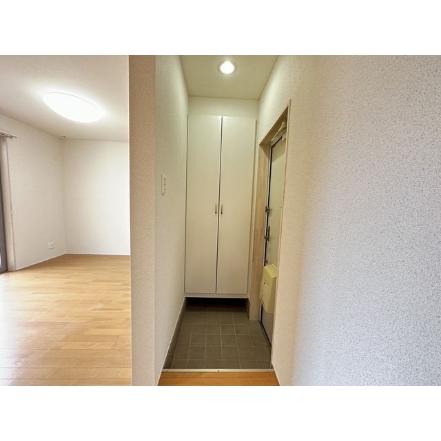 トールサイズのシューズボックスです