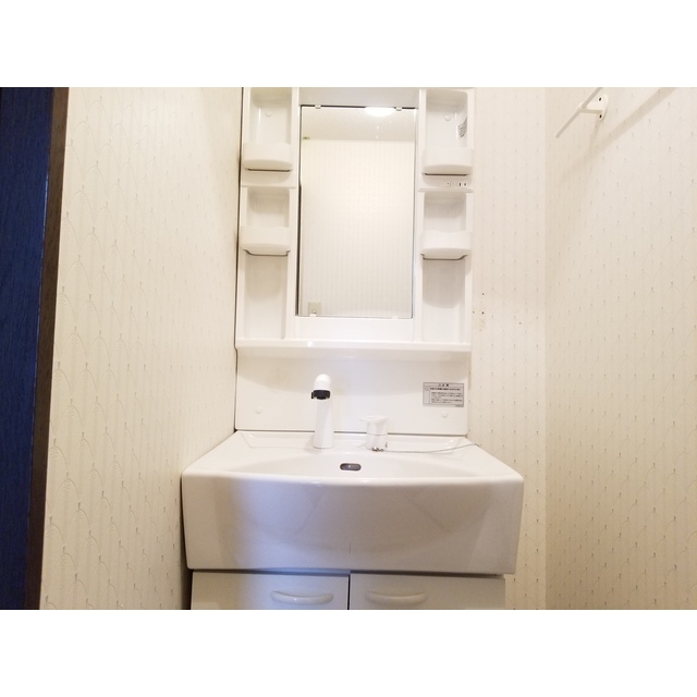シャンプードレッサー付き