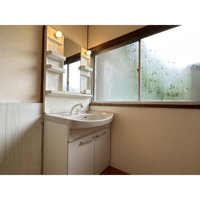 シャンプードレッサー