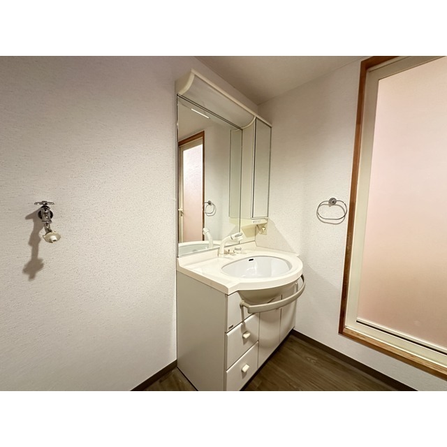 シャンプードレッサー