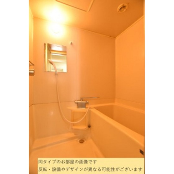 バス