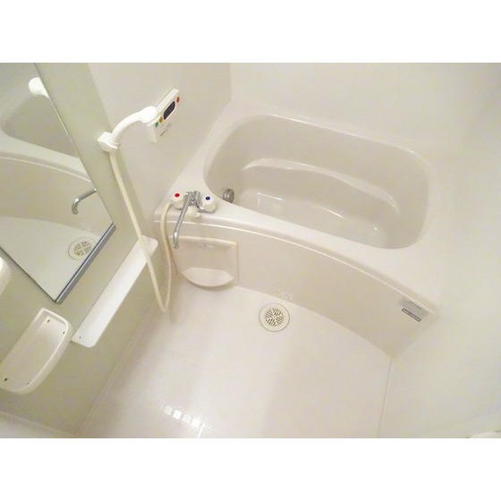 バス