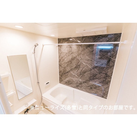 バス