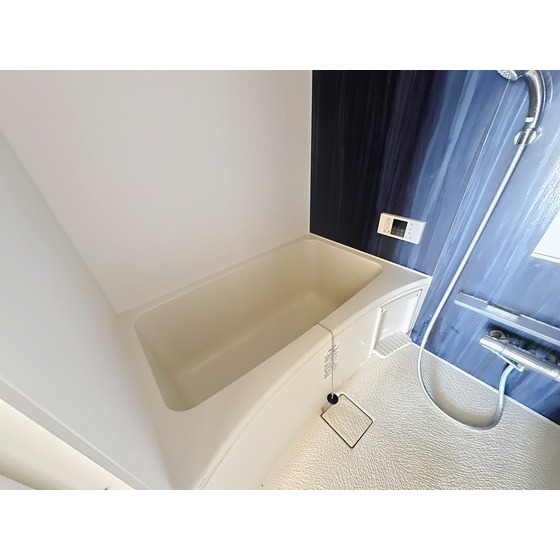 ※他のお部屋のお写真となります。