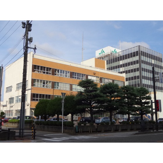 幼稚園・保育園